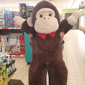 Meet your Posher, Lori